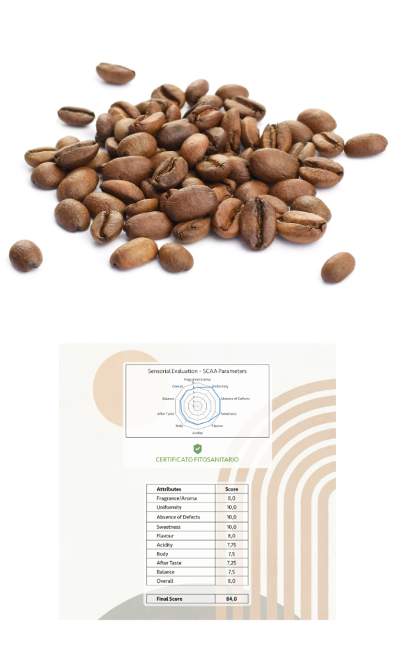 Caffè in grani Speciality Arabica Selezione Guatemala - 250gr