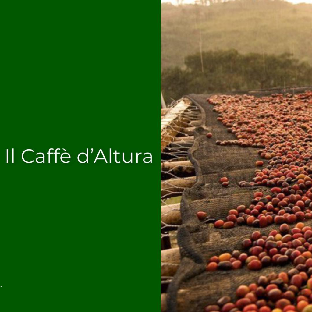 caffè d'altura
