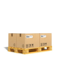 Fail il tuo ordine (S - max 48kg)
